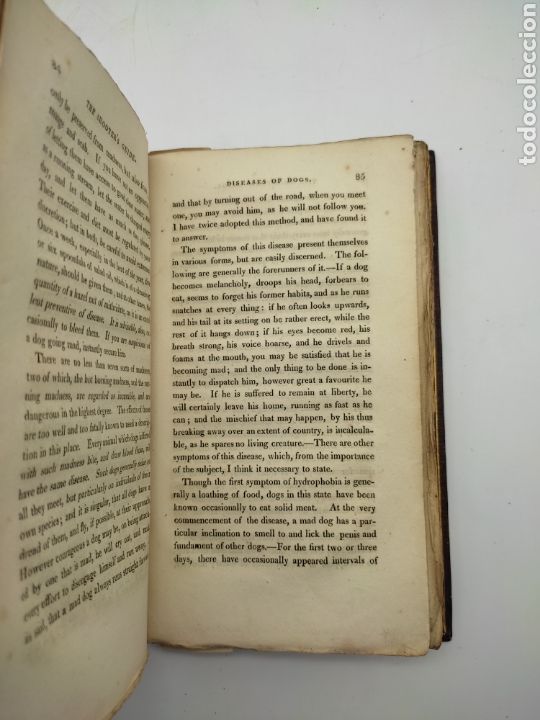 Libros antiguos: The shooters guide 1816 notable encuadernaci&oacute;n - Foto 7