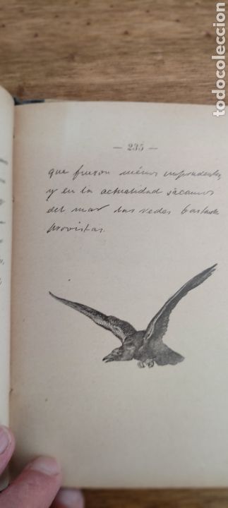 Libros antiguos: El Mundo, 1909 - Foto 7