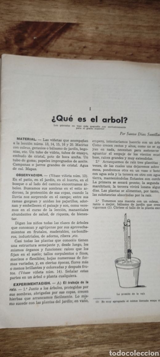 Libros antiguos: Lecciones De Cosas, N&uacute;mero 2 Los &Aacute;rboles - Foto 3