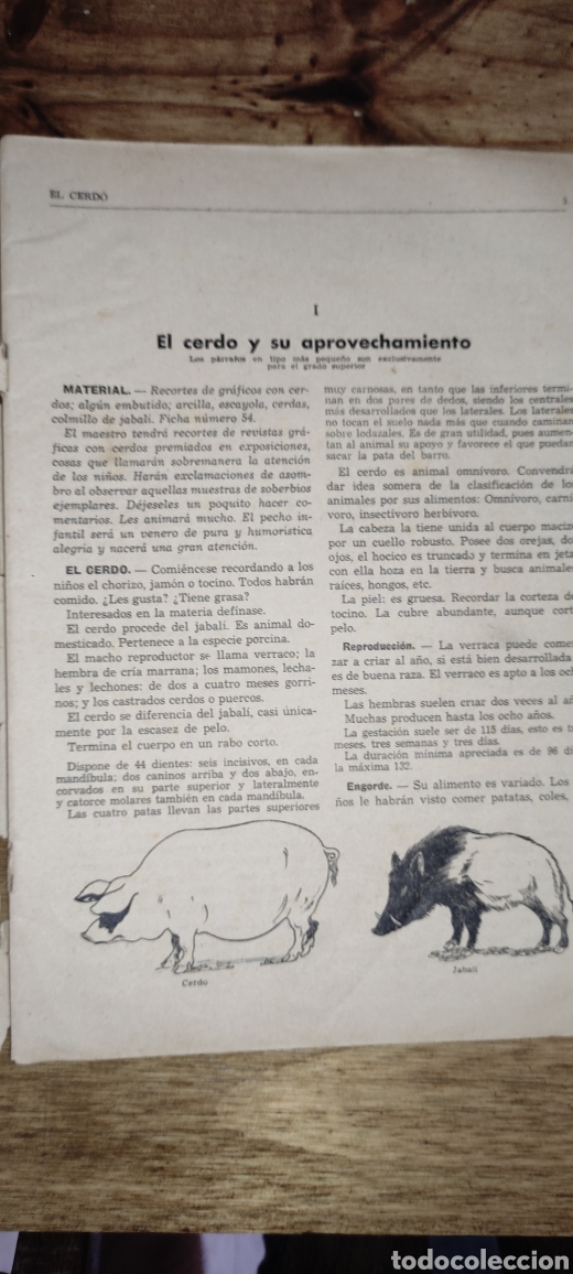 Libros antiguos: Lecciones Industrias Espa&ntilde;olas 1, num. 5 - Foto 3
