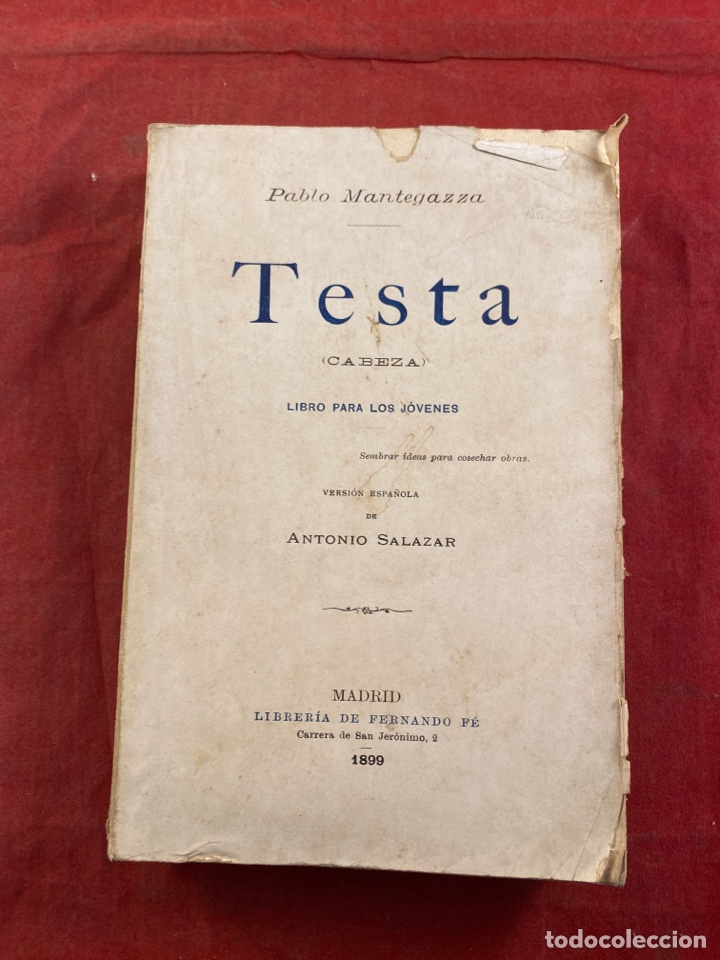Libros antiguos: TESTA - Foto 1