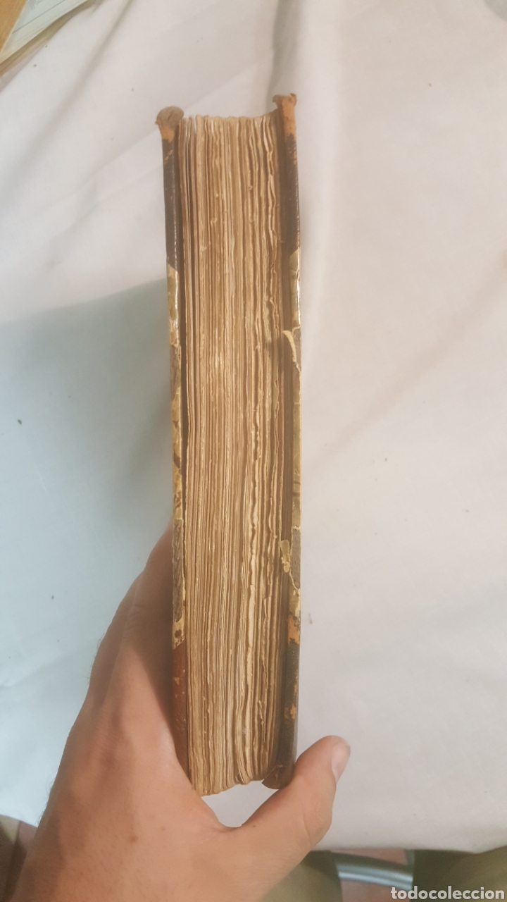 Libros antiguos: LIBRO 1903 MASTERS IN ART - Foto 5