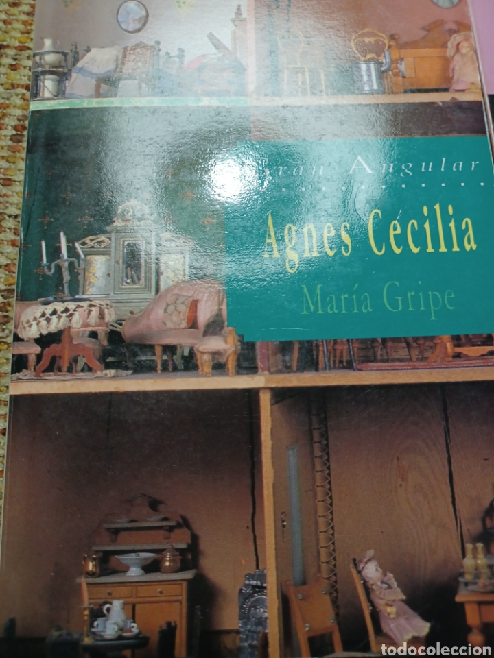 Libros antiguos: Barybook 310. . Agnes Cecilia gran angular Mar&iacute;a gripe - Foto 1