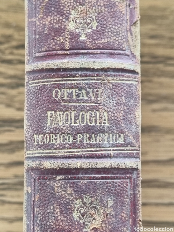 Libros antiguos: ENOLOGIA TEORICO PR&Aacute;CTICA- Ottavi- a&ntilde;o 1901 - Foto 2