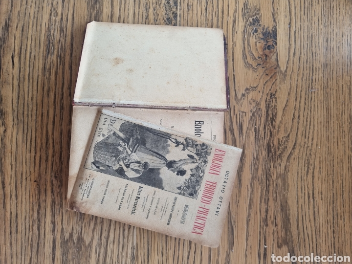 Libros antiguos: ENOLOGIA TEORICO PR&Aacute;CTICA- Ottavi- a&ntilde;o 1901 - Foto 10