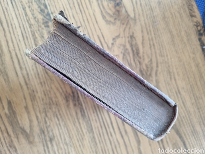 Libros antiguos: ENOLOGIA TEORICO PR&Aacute;CTICA- Ottavi- a&ntilde;o 1901 - Foto 12