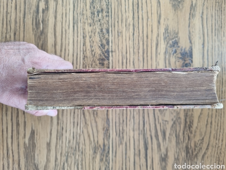 Libros antiguos: ENOLOGIA TEORICO PR&Aacute;CTICA- Ottavi- a&ntilde;o 1901 - Foto 13