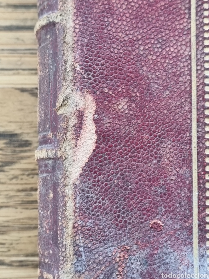 Libros antiguos: ENOLOGIA TEORICO PR&Aacute;CTICA- Ottavi- a&ntilde;o 1901 - Foto 14