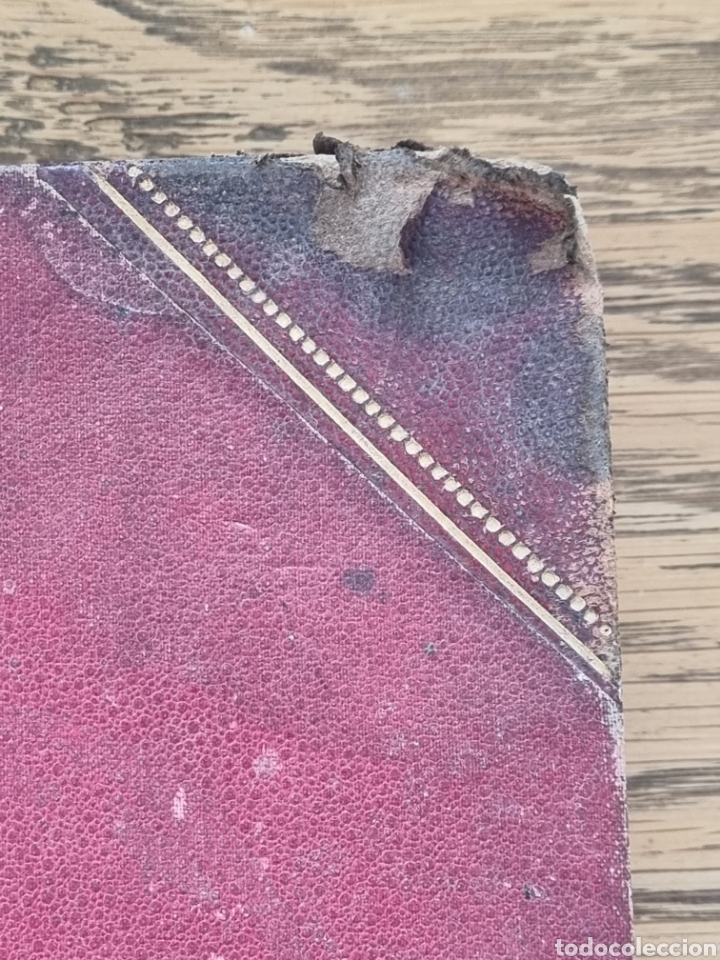 Libros antiguos: ENOLOGIA TEORICO PR&Aacute;CTICA- Ottavi- a&ntilde;o 1901 - Foto 15