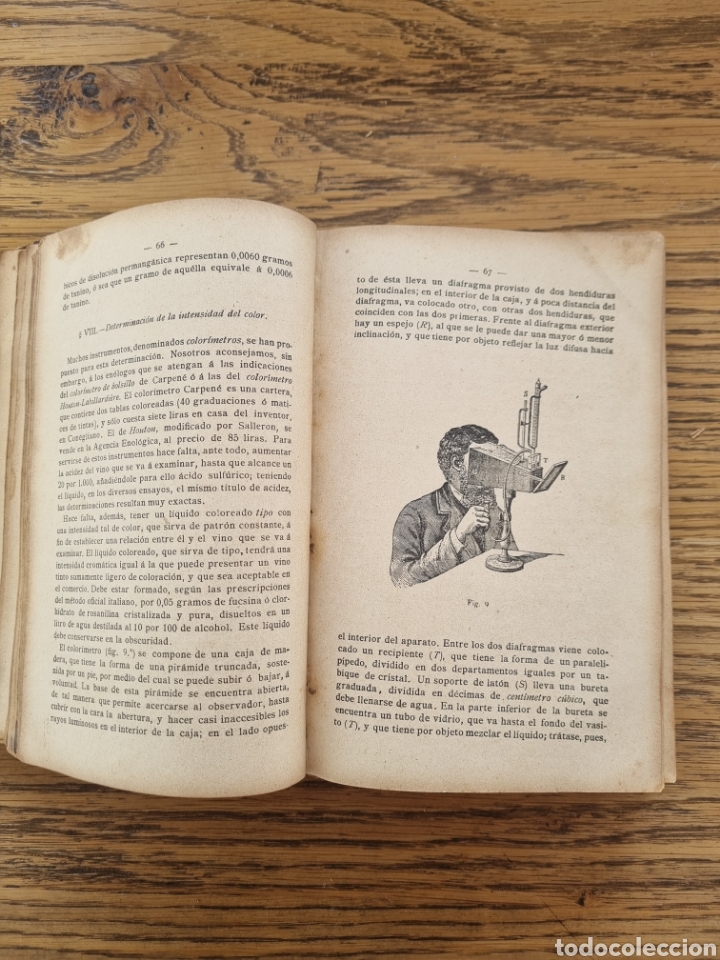Libros antiguos: ENOLOGIA TEORICO PR&Aacute;CTICA- Ottavi- a&ntilde;o 1901 - Foto 17