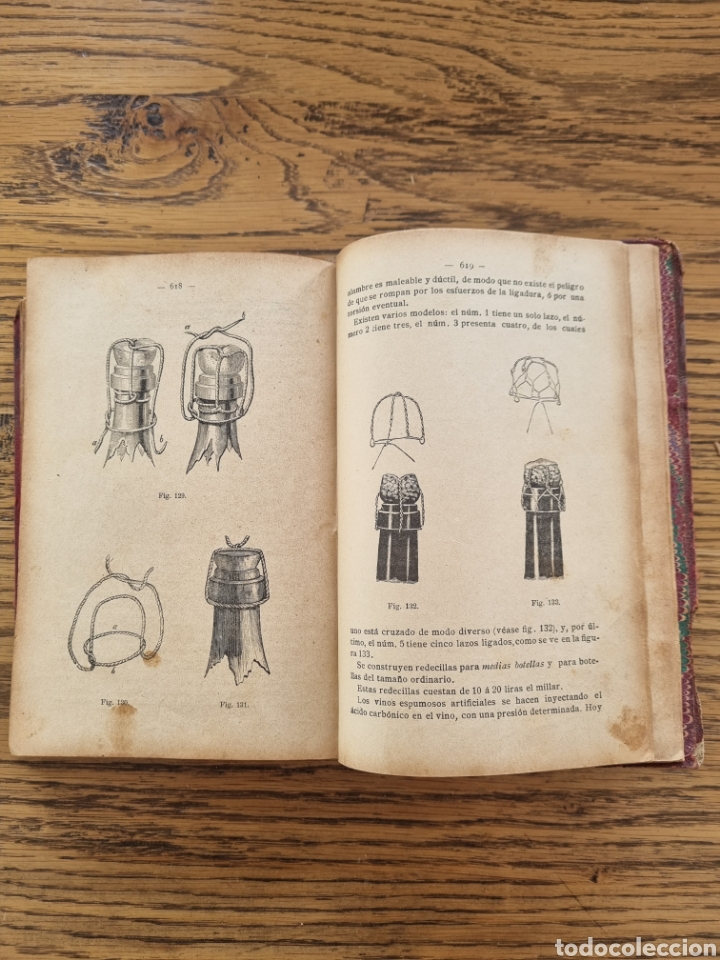 Libros antiguos: ENOLOGIA TEORICO PR&Aacute;CTICA- Ottavi- a&ntilde;o 1901 - Foto 19