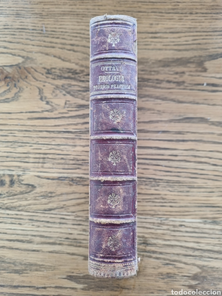 Libros antiguos: ENOLOGIA TEORICO PR&Aacute;CTICA- Ottavi- a&ntilde;o 1901 - Foto 1