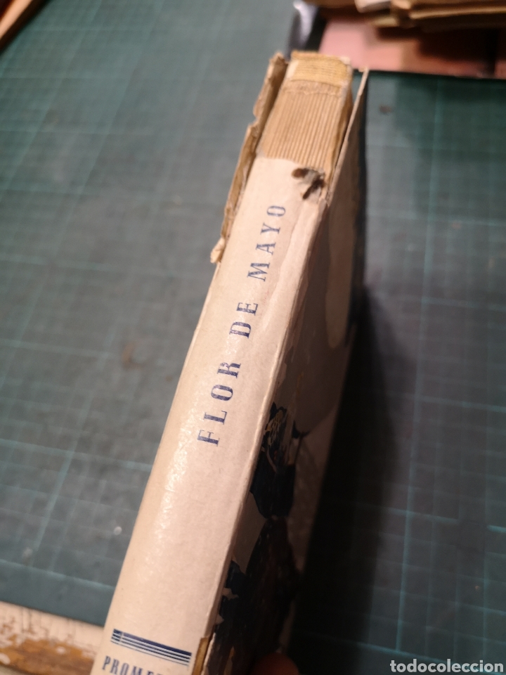 Libros antiguos: Flor de Mayo. C. Blasco Iba&ntilde;ez 1895 - Foto 2