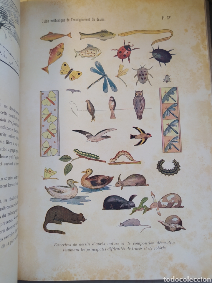 Libros antiguos: Guide m&eacute;thodique pour lenseignement du dessin. 1908 - Foto 3