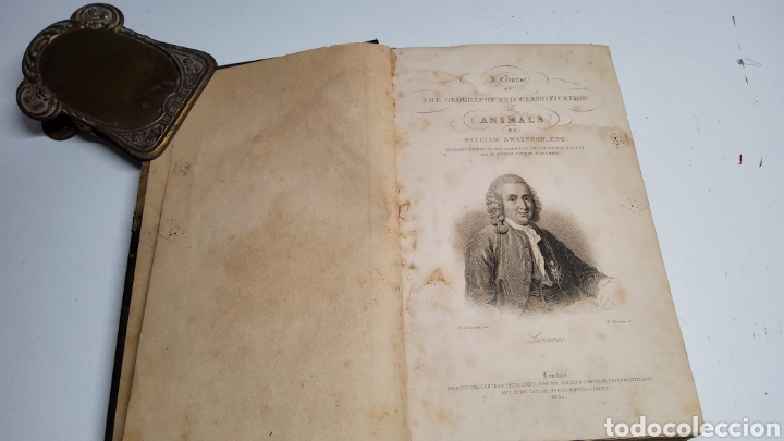 Libros antiguos: Geography and Classification of Animals. 1835 - Foto 4