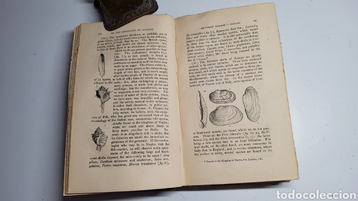 Libros antiguos: Geography and Classification of Animals. 1835 - Foto 5