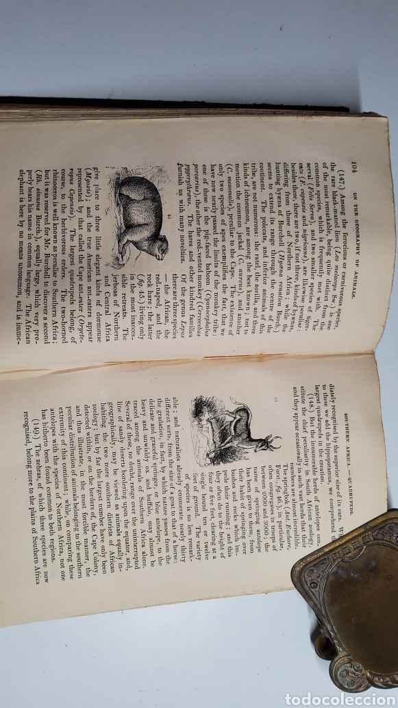 Libros antiguos: Geography and Classification of Animals. 1835 - Foto 6