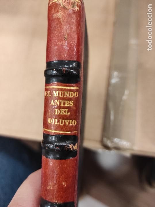 Libros antiguos: EL MUNDO ANTES DEL DILUVIO.-- PIZZETTA. - Foto 1