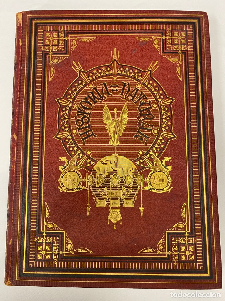 Libros antiguos: La Creaci&oacute;n Historia Natural Tomo III 3 Aves 1873 - en muy buen estado