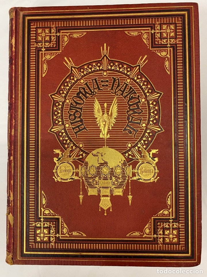 Libros antiguos: La Creaci&oacute;n Historia Natural Tomo VI 6 Invertebrados 1875 - muy buen estado