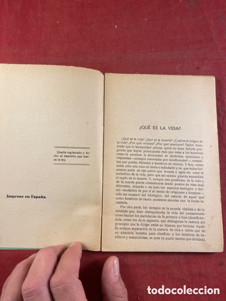 Libros antiguos: LA VIDA. S. PANDINI - Foto 3