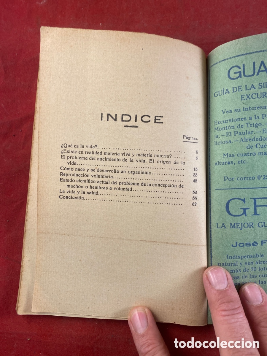 Libros antiguos: LA VIDA. S. PANDINI - Foto 4