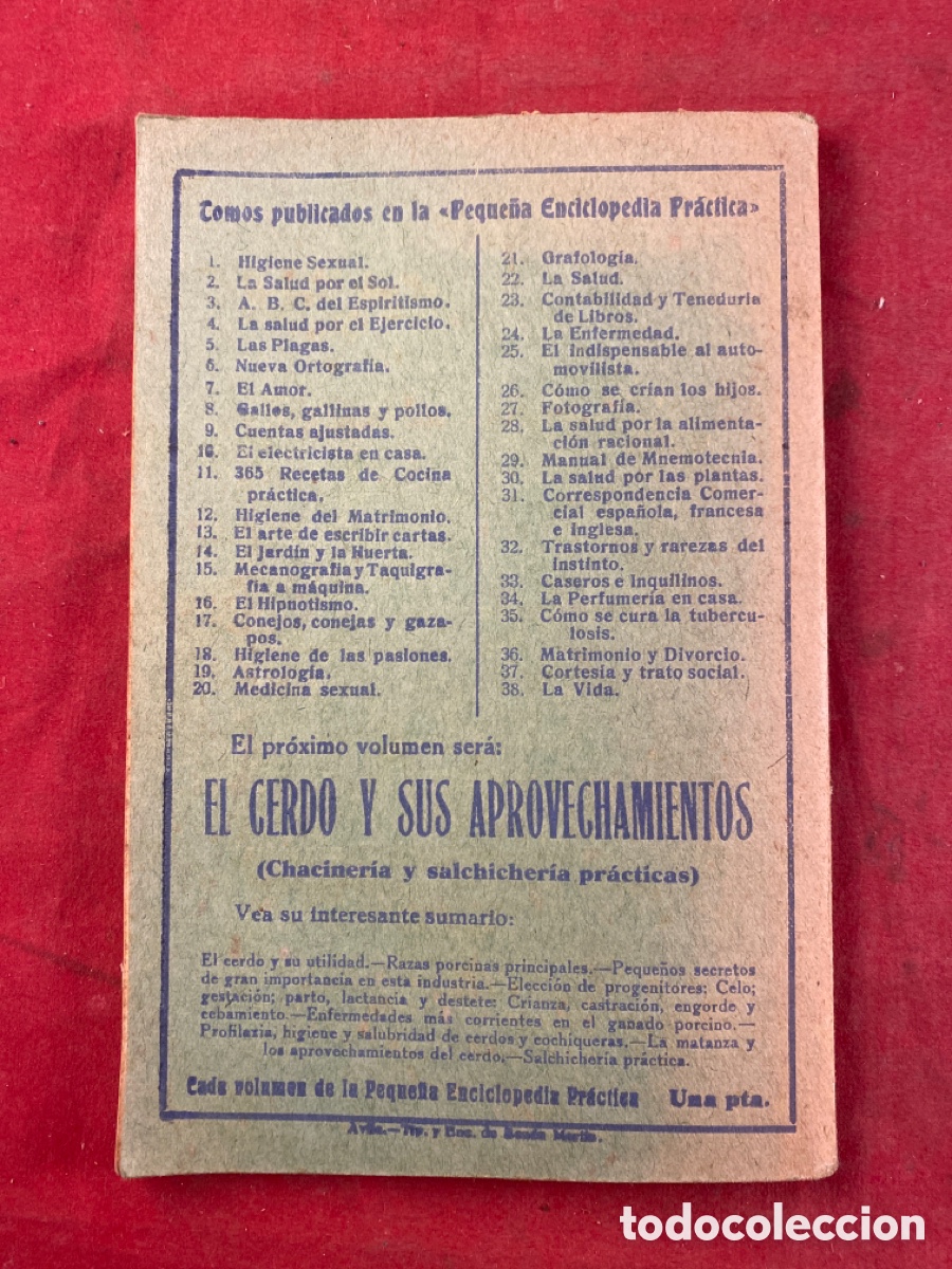 Libros antiguos: LA VIDA. S. PANDINI - Foto 5