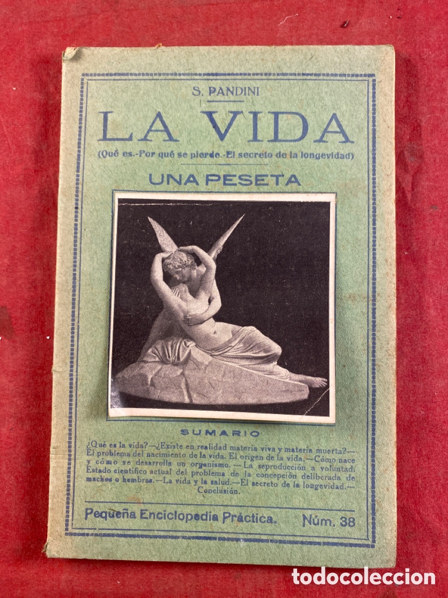 Libros antiguos: LA VIDA. S. PANDINI - Foto 1