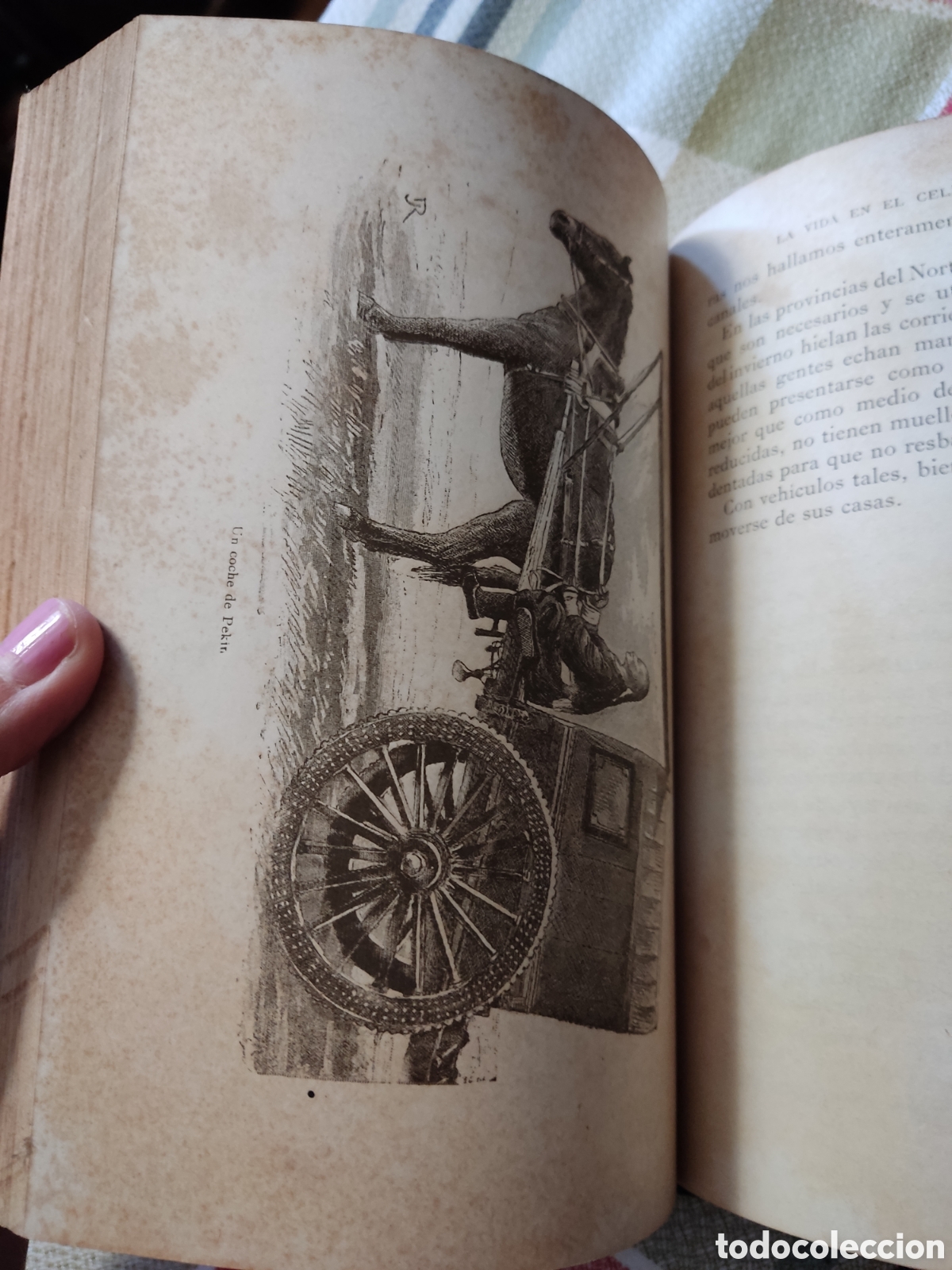 Libros antiguos: 1887 la vida en el celeste imperio eduardo toda - Foto 9