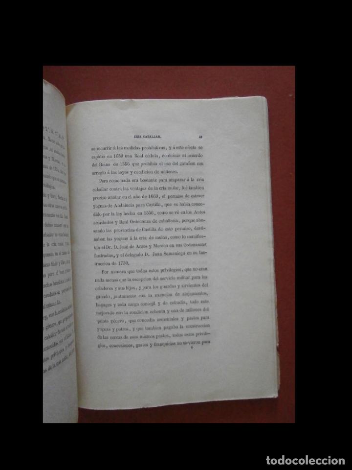 Libros antiguos: De la cria caballar y de las remontas del ejercito. Ram&oacute;n de Ahumada y Centurion - Foto 3