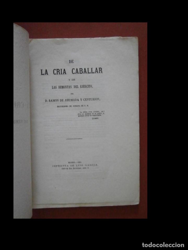 Libros antiguos: De la cria caballar y de las remontas del ejercito. Ram&oacute;n de Ahumada y Centurion - Foto 5
