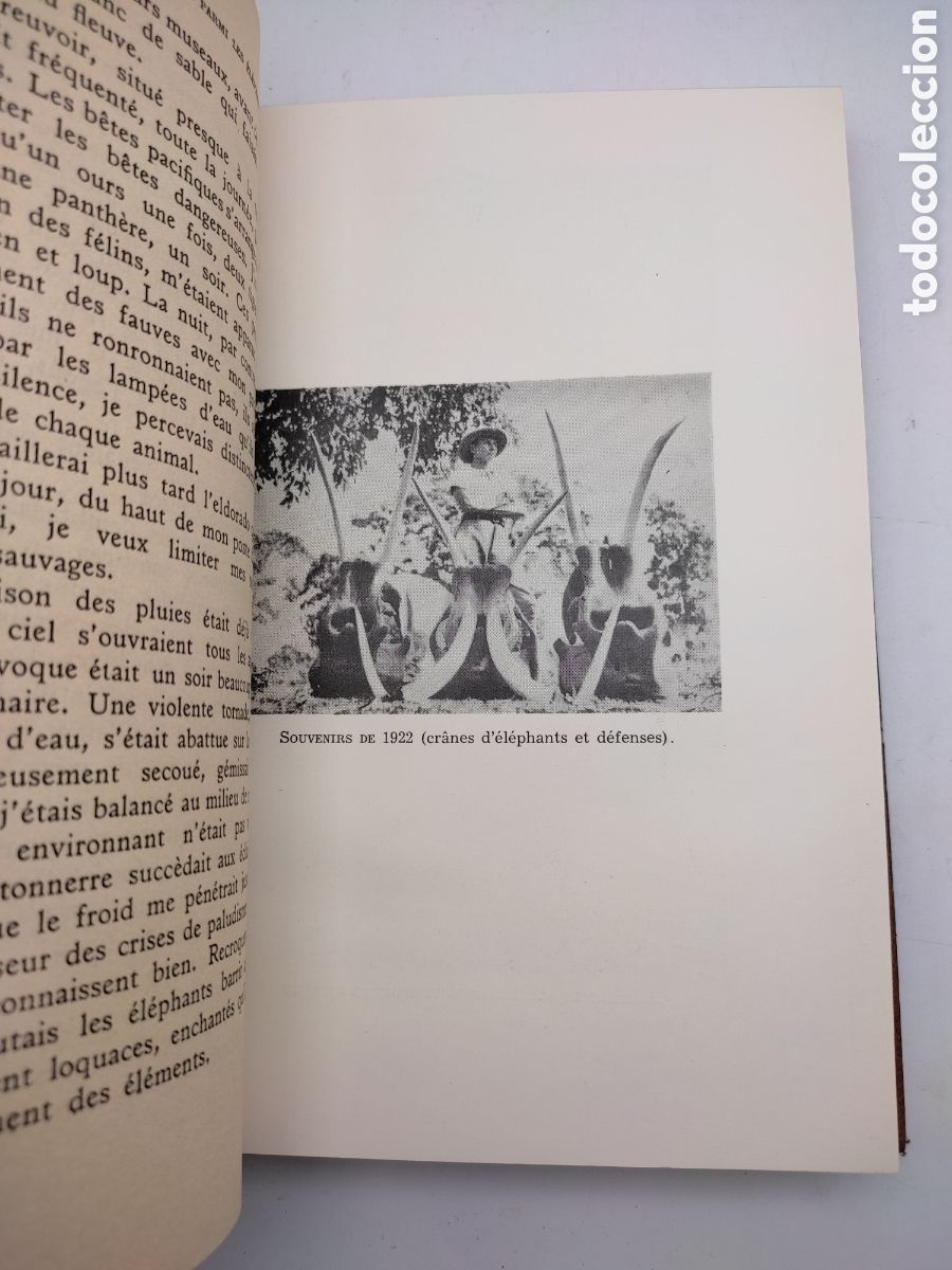 Libros antiguos: Un quart de si&egrave;cle parmi les Elephants - Foto 5