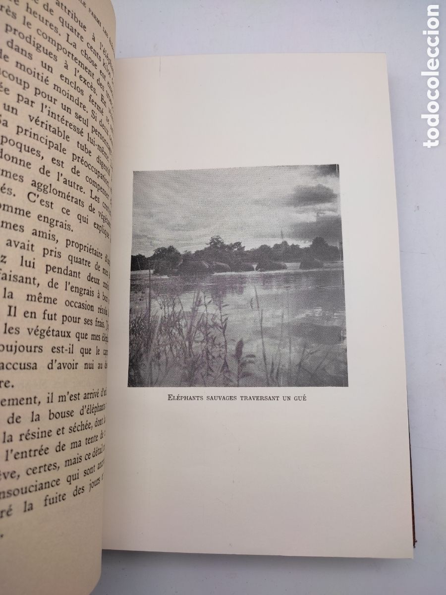 Libros antiguos: Un quart de si&egrave;cle parmi les Elephants - Foto 6