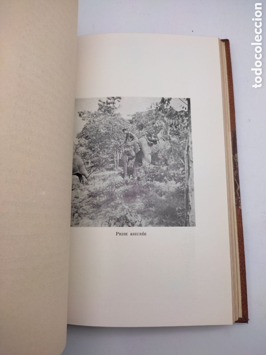 Libros antiguos: Un quart de si&egrave;cle parmi les Elephants - Foto 7
