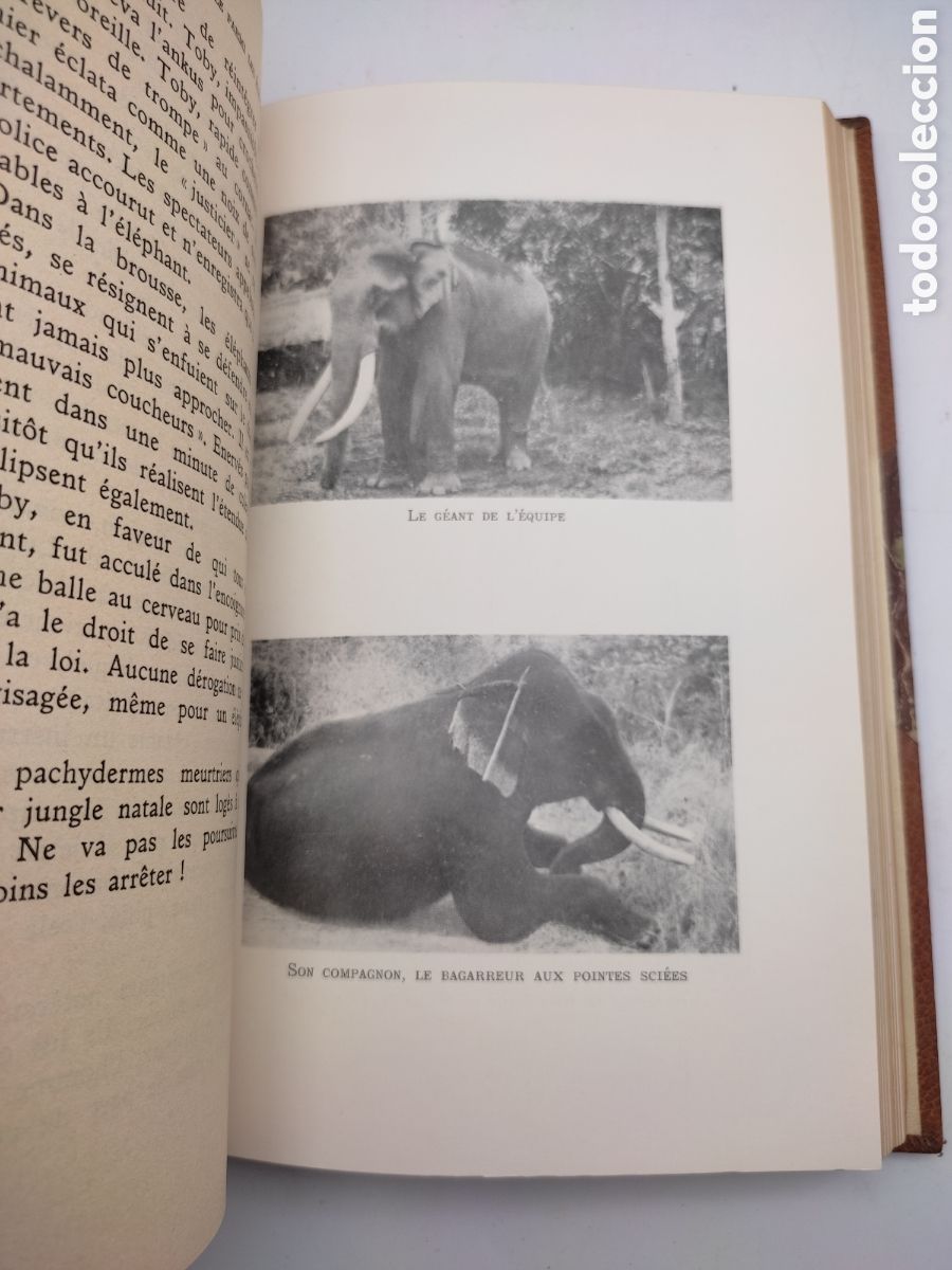 Libros antiguos: Un quart de si&egrave;cle parmi les Elephants - Foto 8