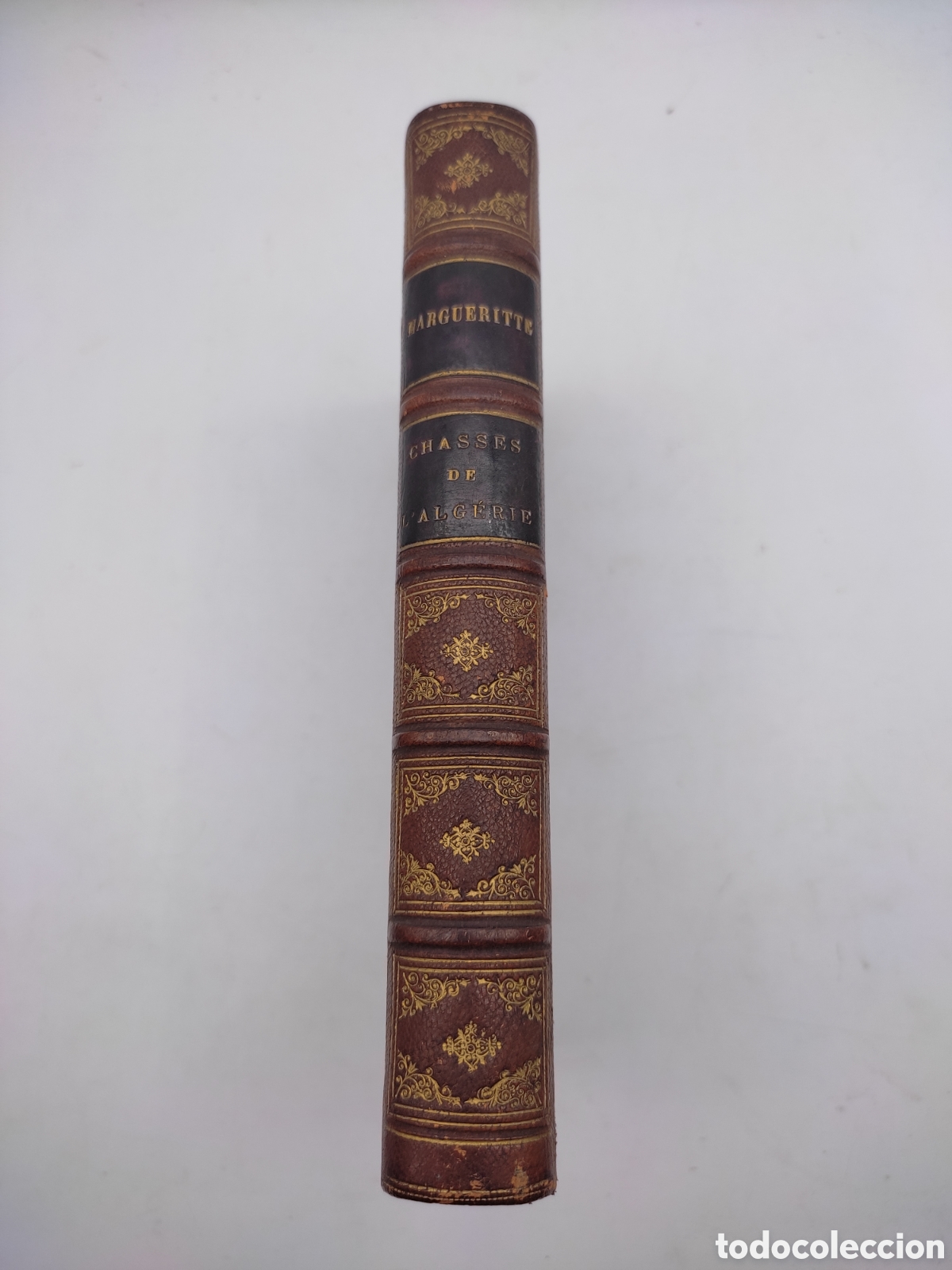 Libri antichi: Chasse de l'algerie 1869 le general A Margueritte FIRMADO