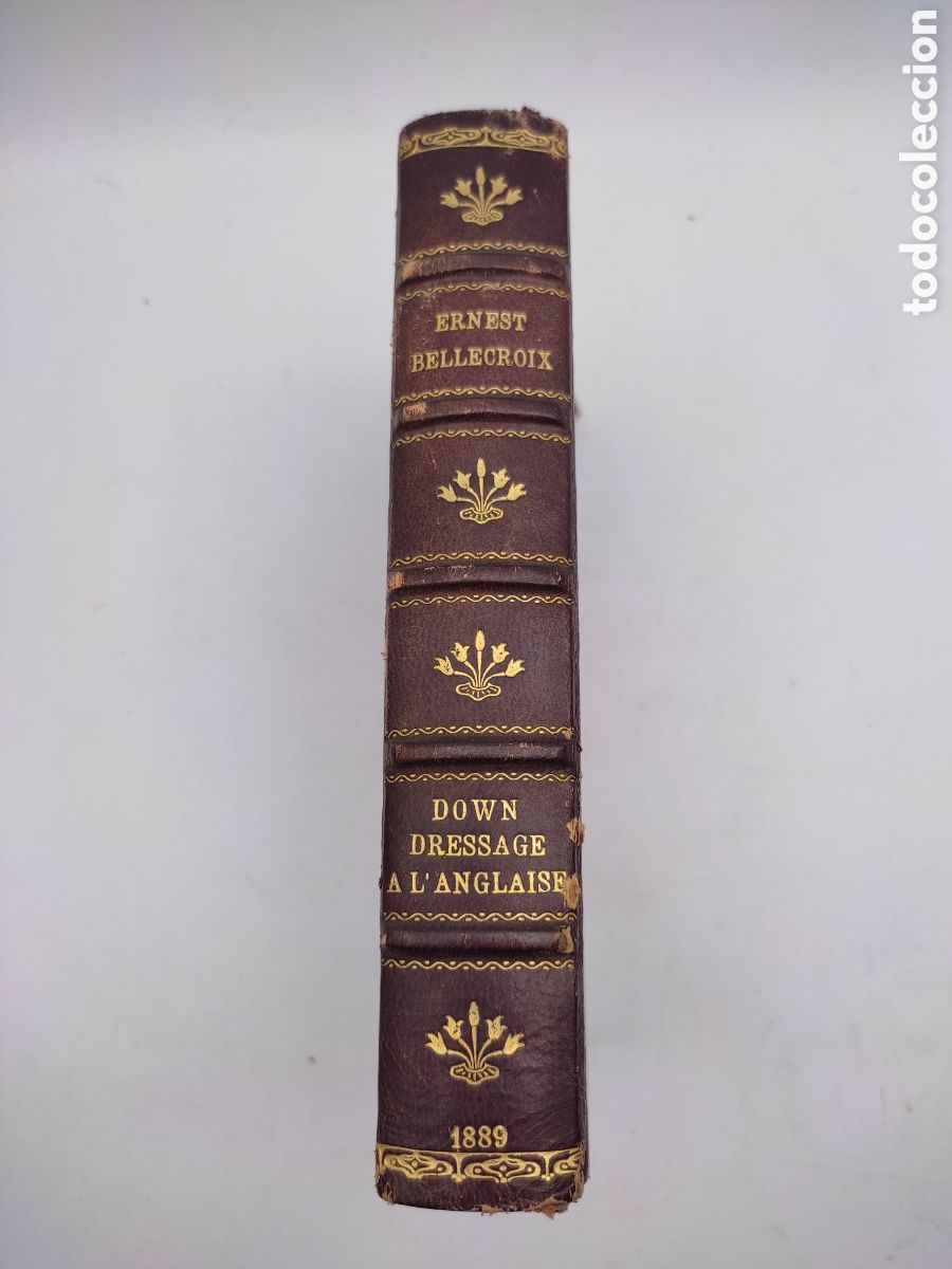 Libri antichi: Down! Dressage a l'anglaise des chiens d'arret 1889