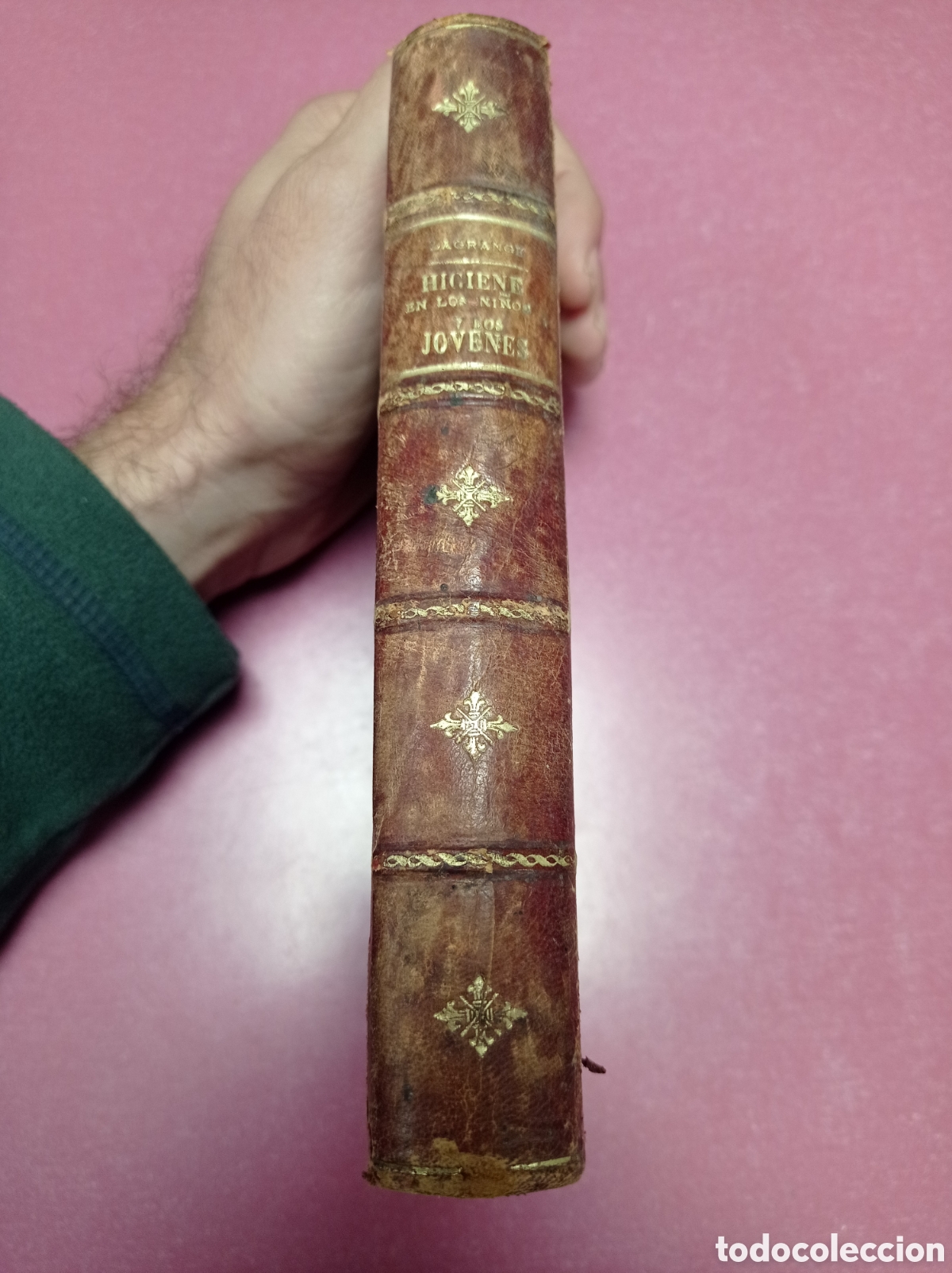 Libros antiguos: Higiene en los ni&ntilde;os y los j&oacute;venes 1894 - Foto 3