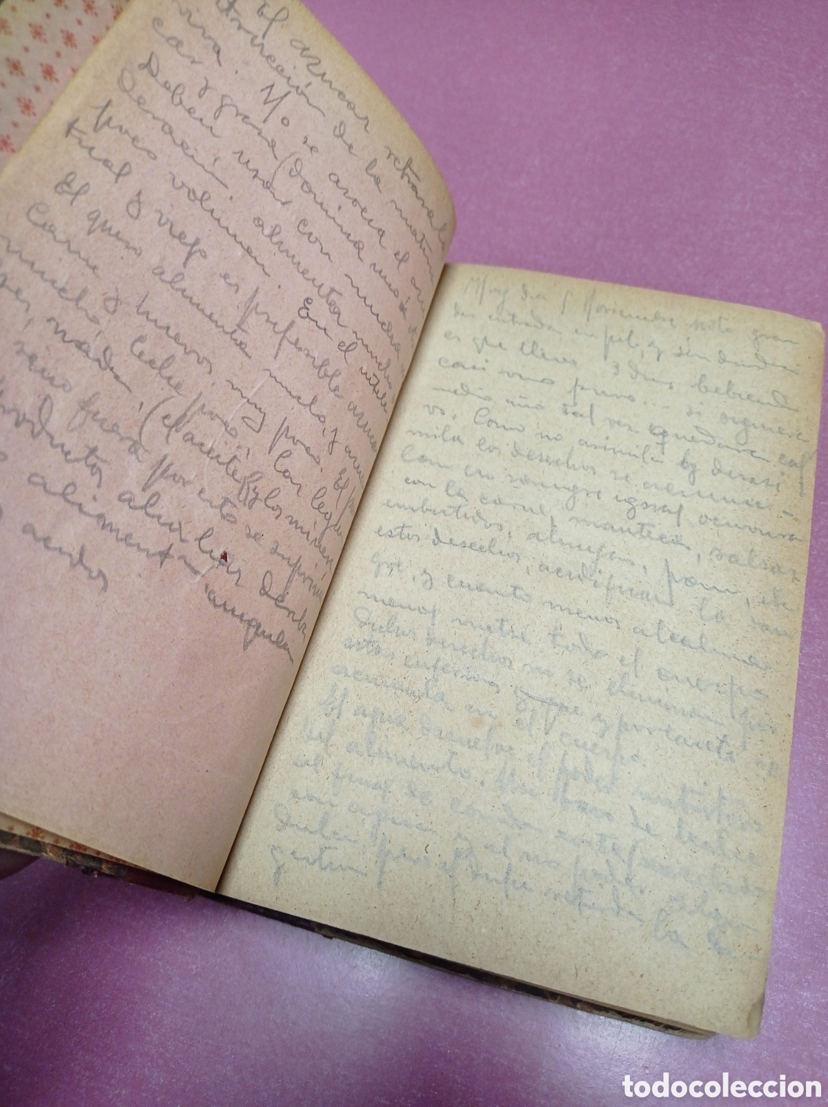Libros antiguos: Higiene en los ni&ntilde;os y los j&oacute;venes 1894 - Foto 5
