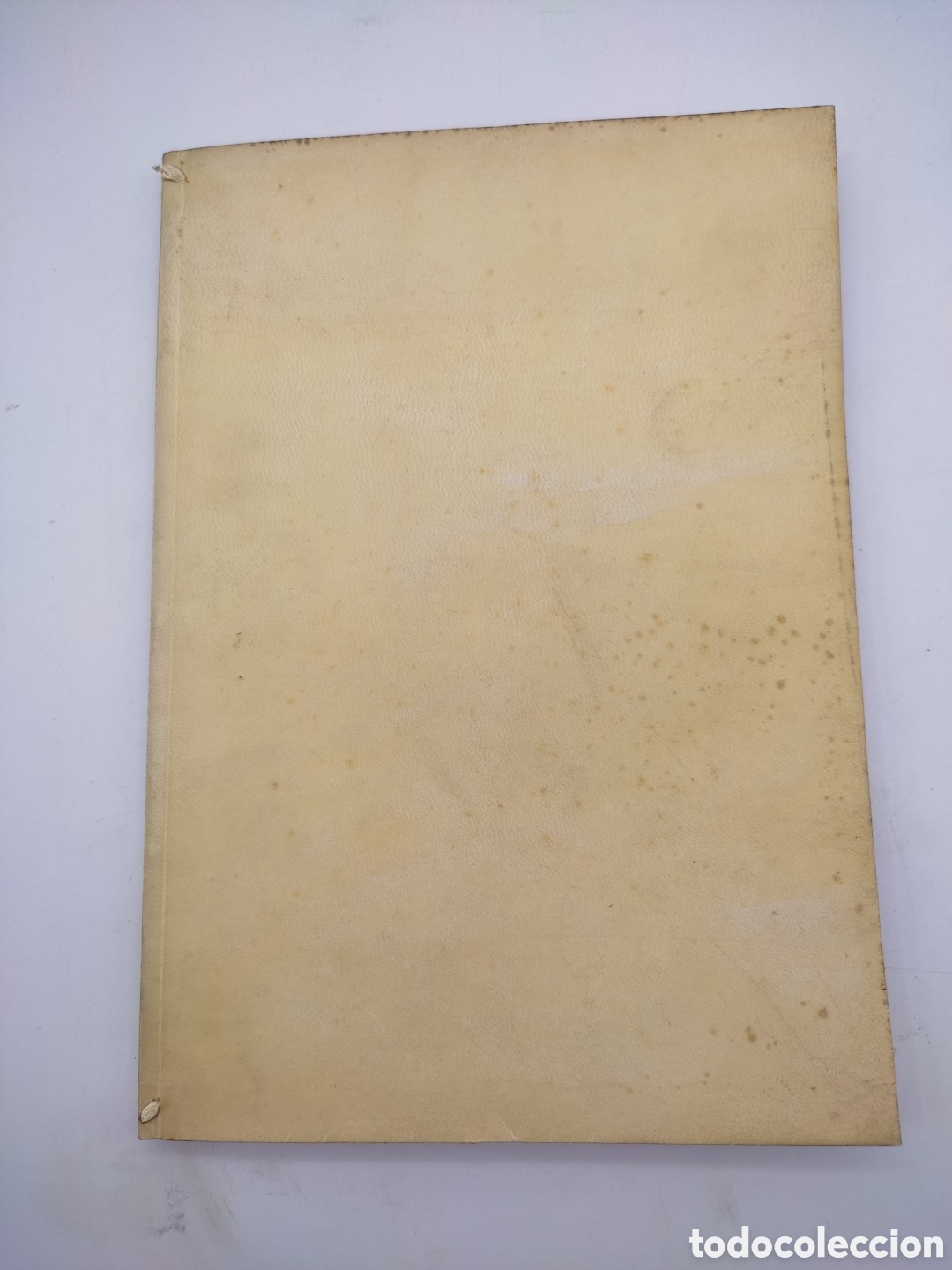 Libri antichi: La capella del Roser i les seves pintures en rajoles vidriades 1924 C&egrave;sar Martinell Valls Tarragona