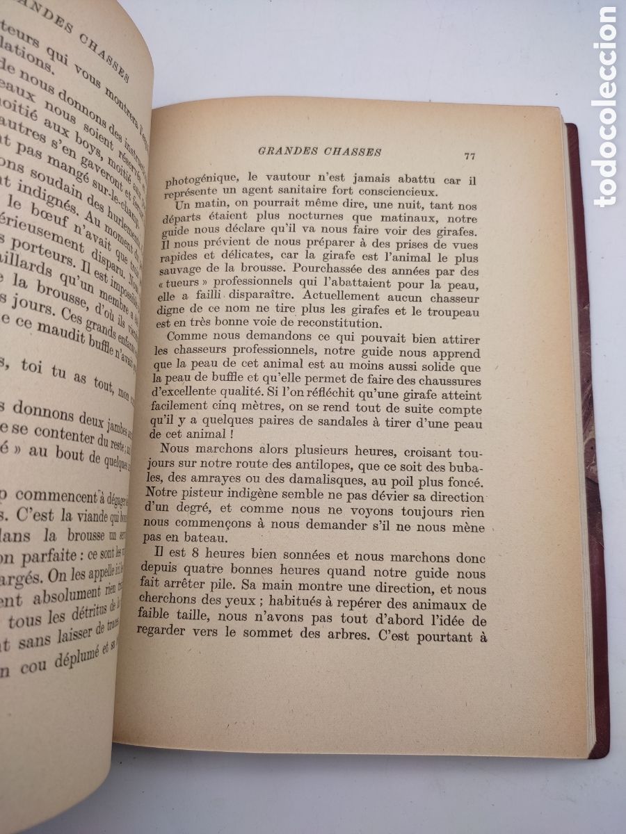 Libros antiguos: Grandes chasses en afrique centrale 1947 - Foto 4