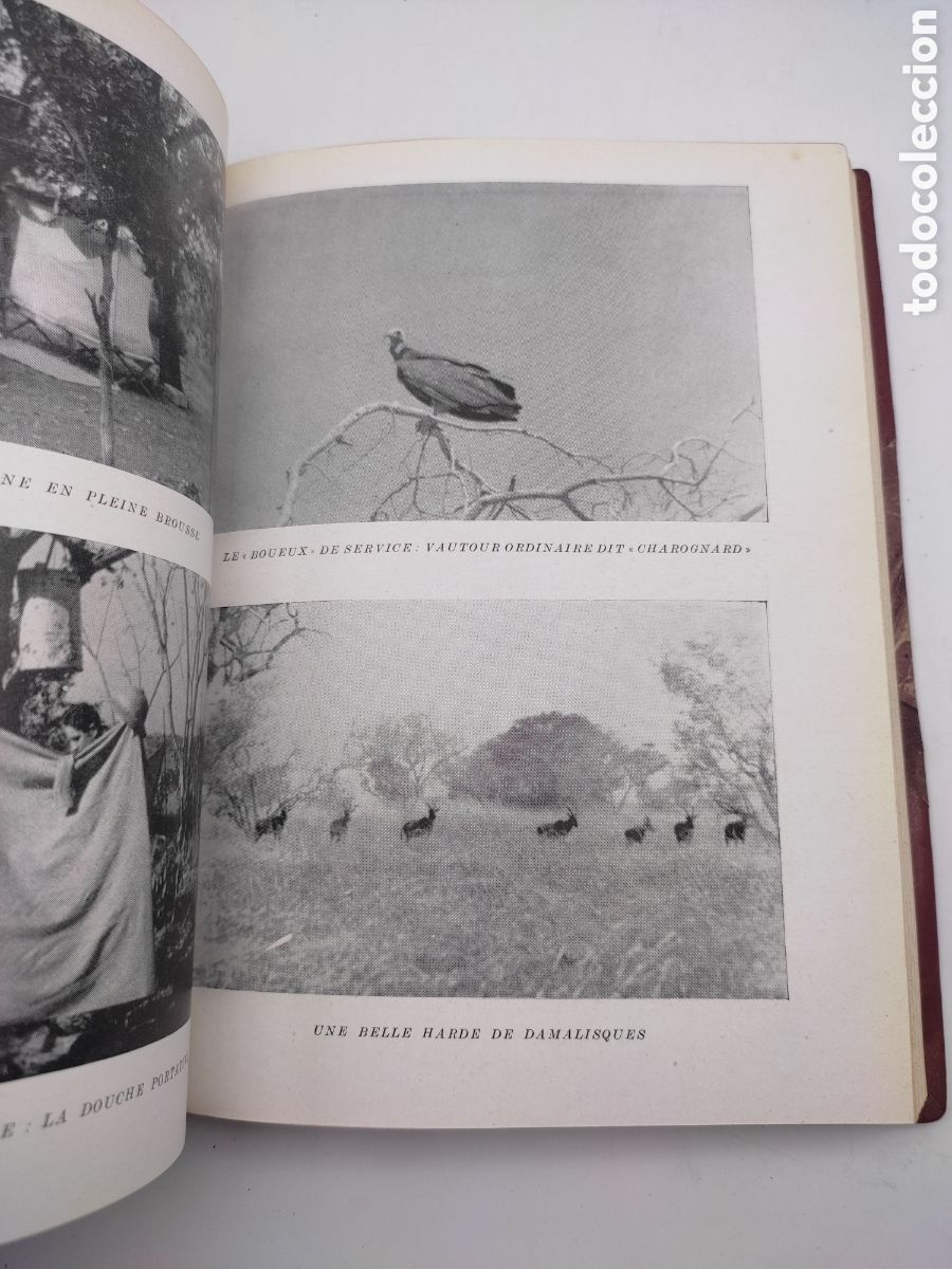 Libros antiguos: Grandes chasses en afrique centrale 1947 - Foto 5