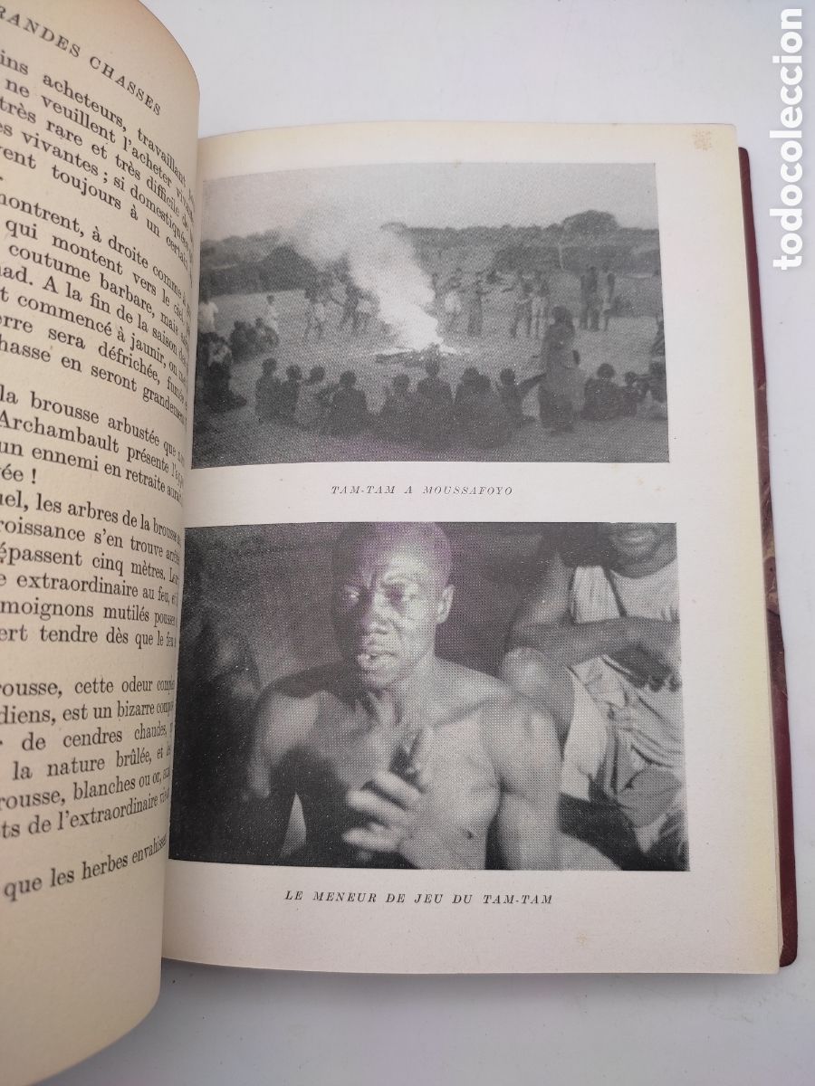 Libros antiguos: Grandes chasses en afrique centrale 1947 - Foto 7