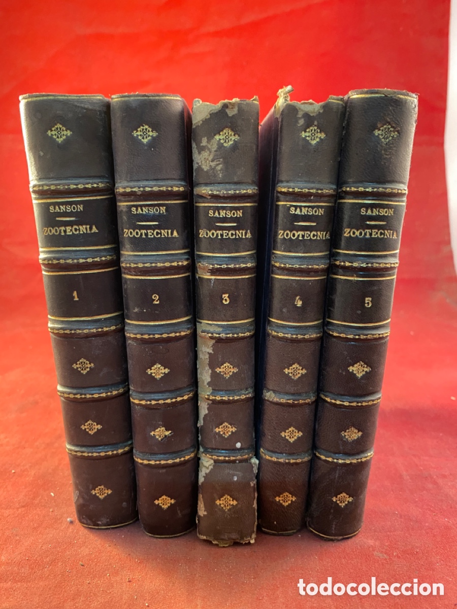 Libros antiguos: TRATADO DE ZOOTECNIA. 5 tomos - Foto 1