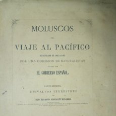 Libros antiguos: EXCLUSIVO Y RARO LIBRO: MOLUSCOS DEL VIAJE AL PACIFICO. J. GONZALEZ HIDALGO. MADRID 1869.