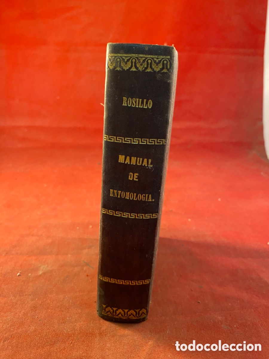 Libros antiguos: MANUAL DE ENTOMOLOGIA - Foto 1