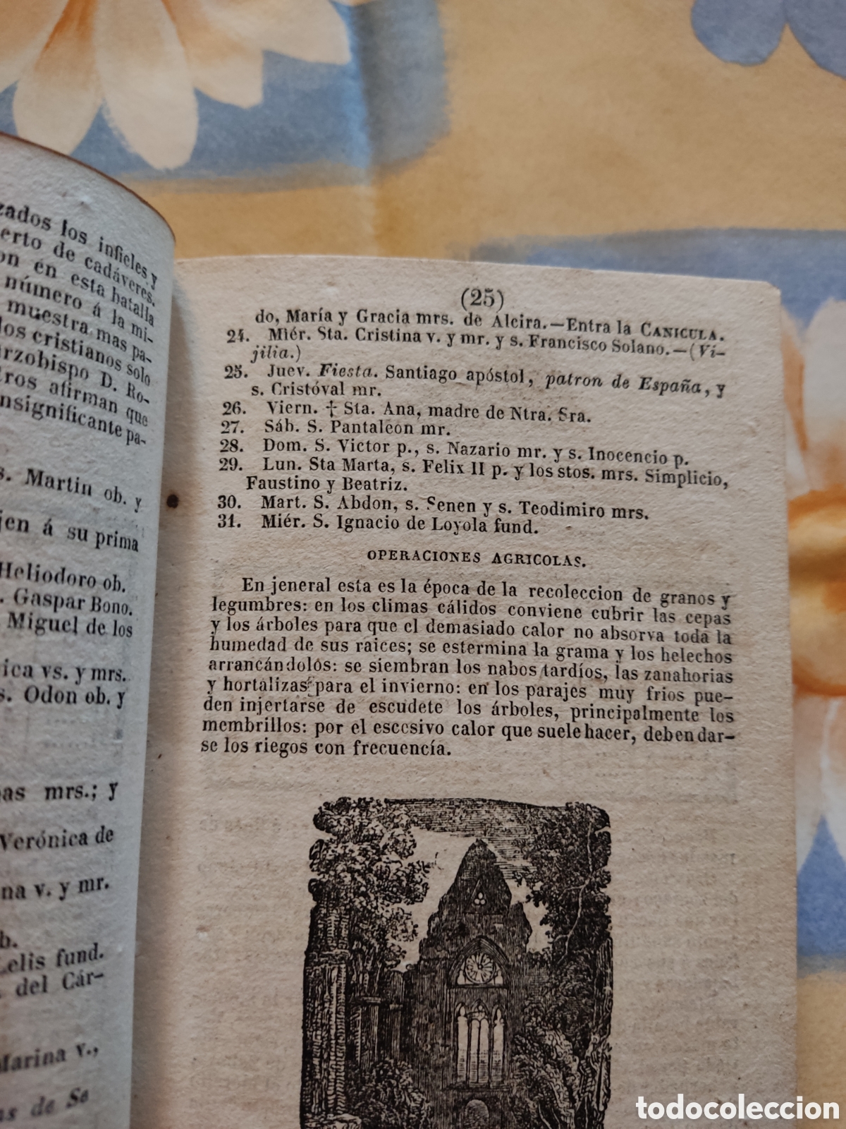 Libros antiguos: Diversos - Foto 3