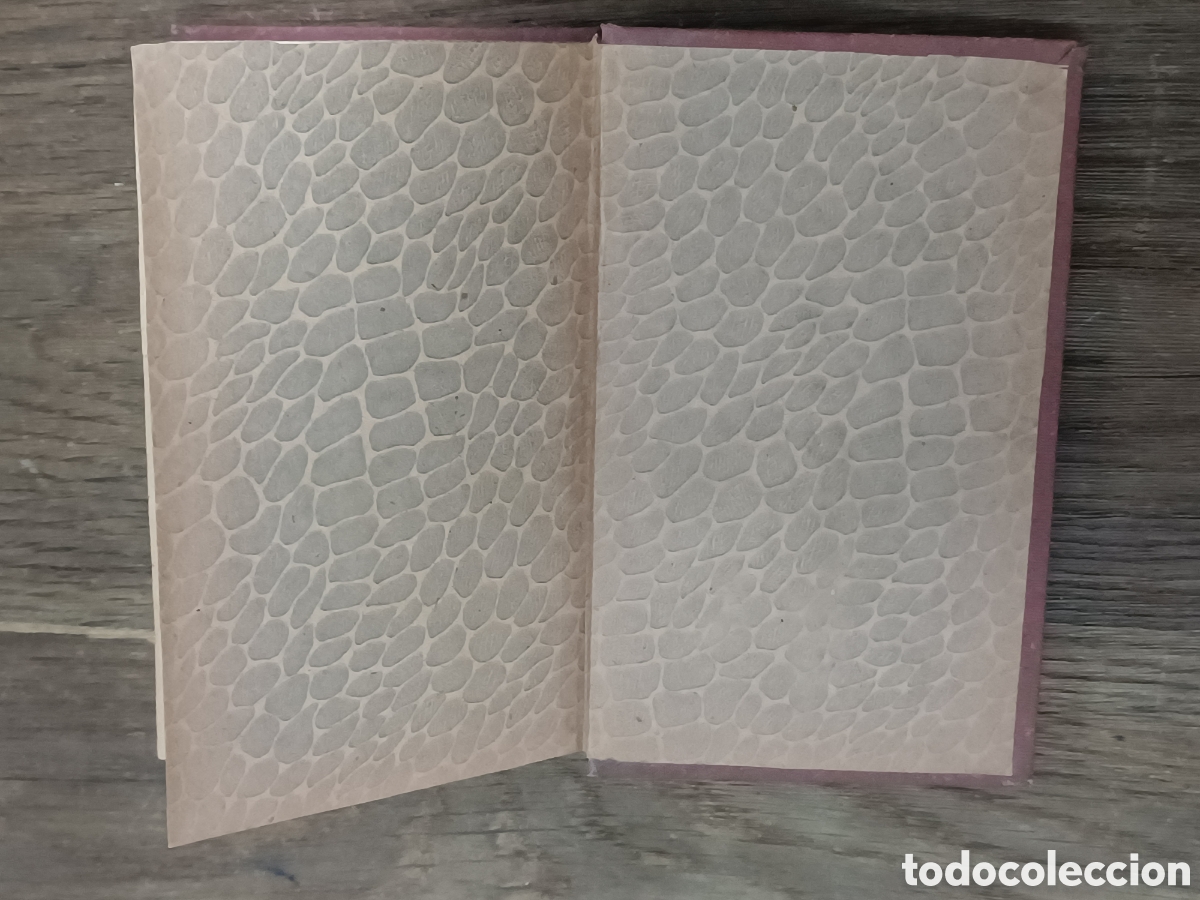 Libros antiguos: ANTIGUO LIBRO LA CASA FROMONT Y RISLER, DE ALFONSO DAUDET. A&Ntilde;O 1895 - Foto 3