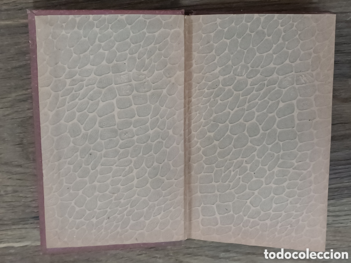 Libros antiguos: ANTIGUO LIBRO LA CASA FROMONT Y RISLER, DE ALFONSO DAUDET. A&Ntilde;O 1895 - Foto 5