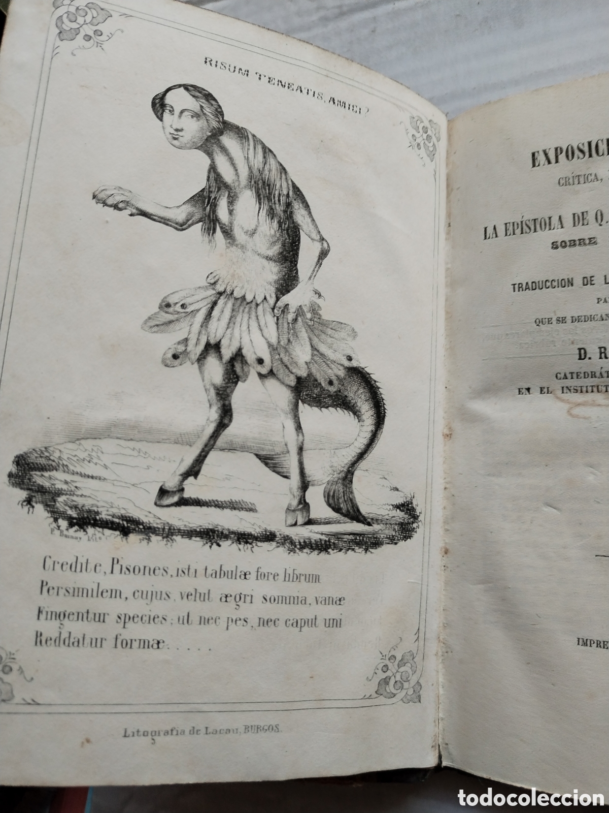 Libros antiguos: EXPOSICI&Oacute;N GRAMATICAL 1855/RAIMUNDO MIGUEL - Foto 3